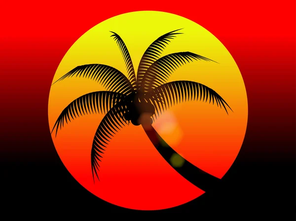 Yaz tatil kırmızı günbatımı ve Hindistan cevizi ağacı