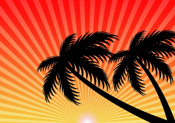 Yaz tatil sunset ve Hindistan cevizi ağacı