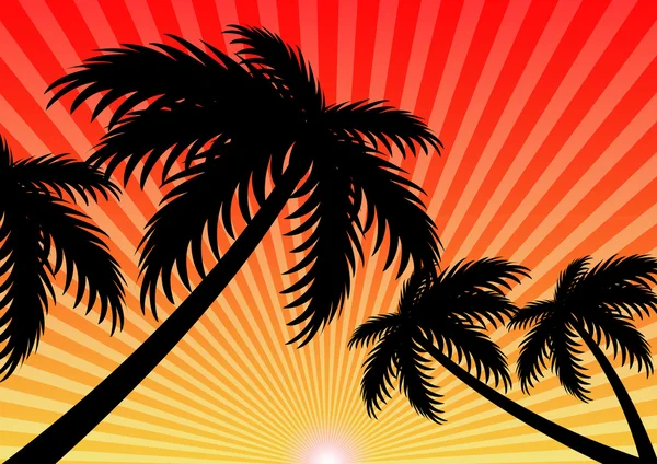Zomer vakantie zonsondergang en kokosnoot boom — Stockvector