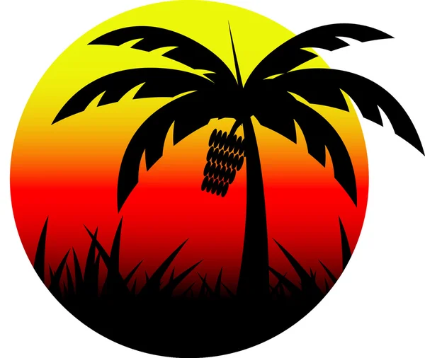 Muz ağacı günbatımı