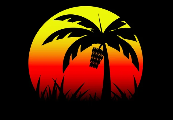 Muz ağacı ve günbatımı