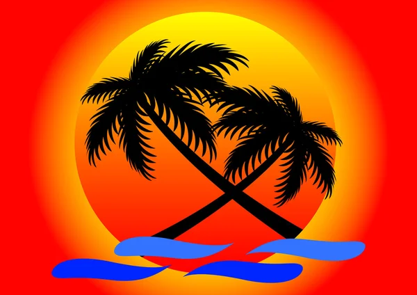 Zomer zonsondergang en kokosnoot boom Vectorbeelden