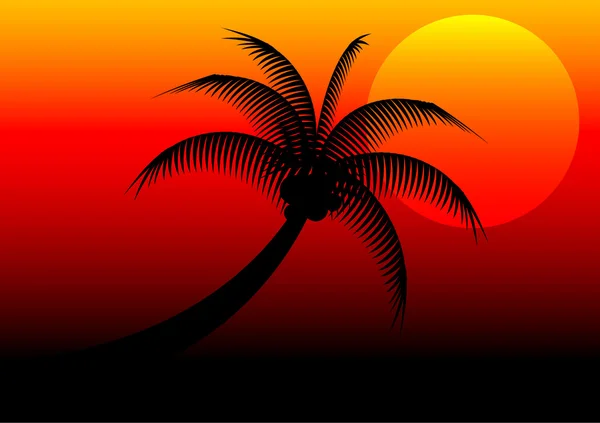 Zonsondergang en kokosnoot boom vector — Stockvector