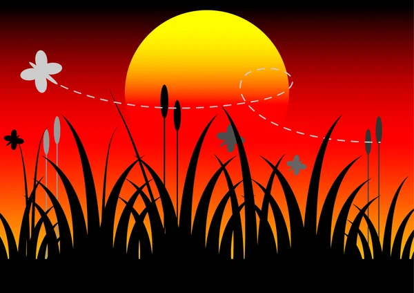 Kelebek ve günbatımı