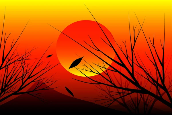 gün batımı ve ağaç