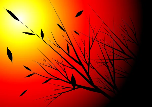 Sonbahar sezonu ve günbatımı