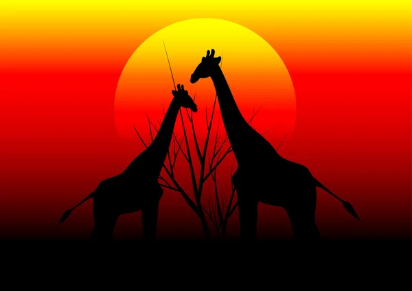 Giraffen in Afrika en zonsondergang Stockillustratie