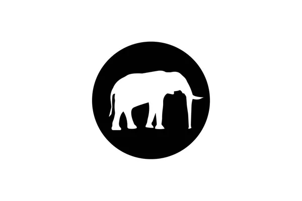 Ikona Słonia Ilustracja Wektorowa Projektowania Graficznego Web App — Wektor stockowy