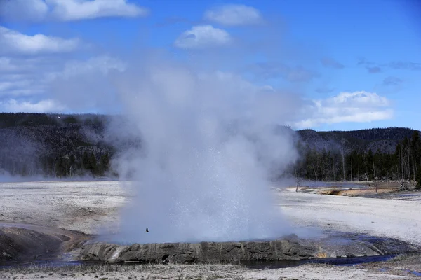 Varmtvannsskyting fra geysir – stockfoto