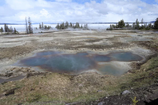 Géiser en el Parque Nacional de Yellowstone — Foto de Stock