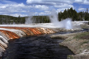 Gayzer yosun ve bakteriyel katmanları