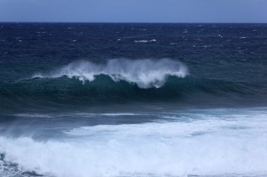 Dalgalar ve taşlar Gris Gris sahilde