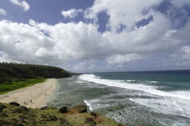 Ile aux kumsalda cerfs