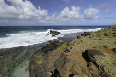 Dalgalar ve taşlar Gris Gris sahilde