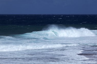 Dalgalar ve taşlar Gris Gris sahilde