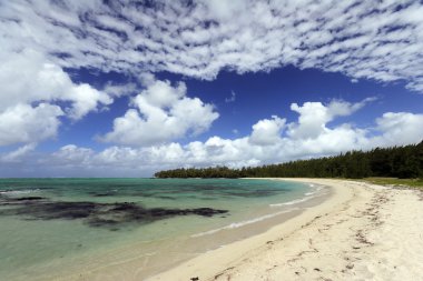 Ile aux kumsalda cerfs