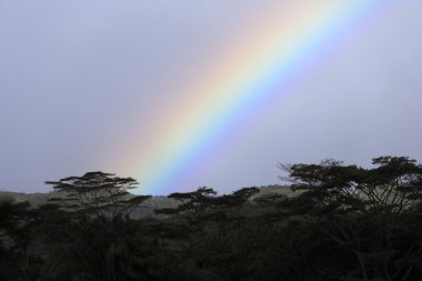 Gökkuşağının üstünde Chamarel şelaleler, Mauritius