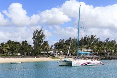 Ile aux kumsalda cerfs