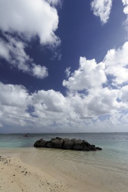 Ile aux kumsalda cerfs