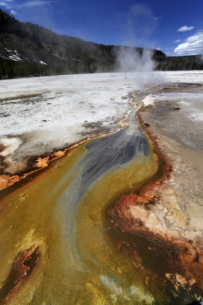 Geyser med vakre omgivelser – stockfoto