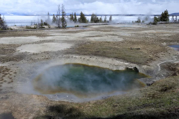 Geyser au parc national Yellowstone — Photo