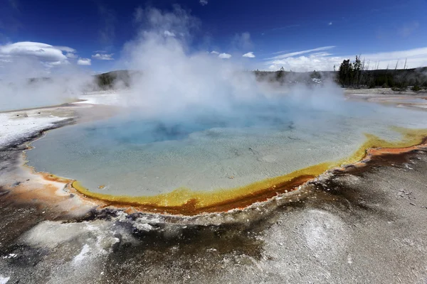 Terre de geysers vivants — Photo