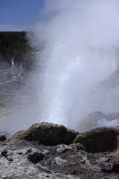 Uitbarsting van geiser op Yellowstone — Stockfoto