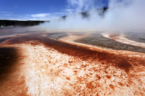 Geyser avec un cadre agréable — Photo