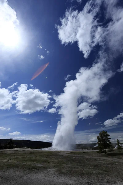 Geyser em Yellowstone com céu azul profundo — Fotografia de Stock