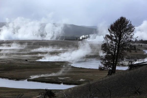 Warm water schieten uit geiser — Stockfoto