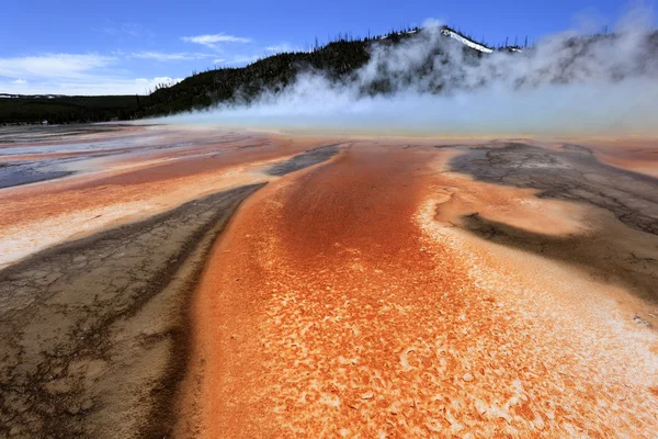 Geyser with lovely surroundings — Stock Photo, Image