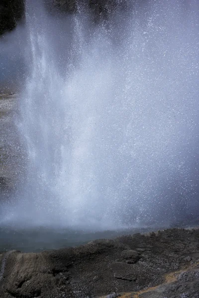 Warm water schieten uit geiser — Stockfoto