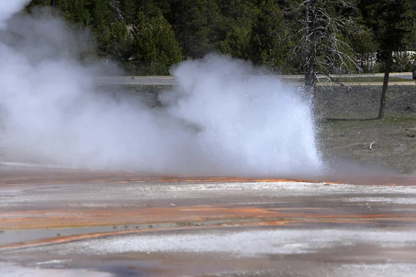 Magnifique geyser à Yellowstone — Photo