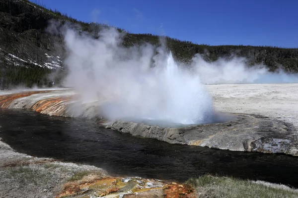 Geyser ved Yellowstone med dypeblå himmel – stockfoto