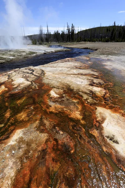 Geyser avec un cadre agréable — Photo