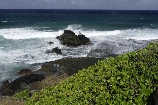 Praia no ile aux cerfs — Fotografia de Stock