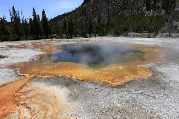 Geyser avec un cadre agréable — Photo