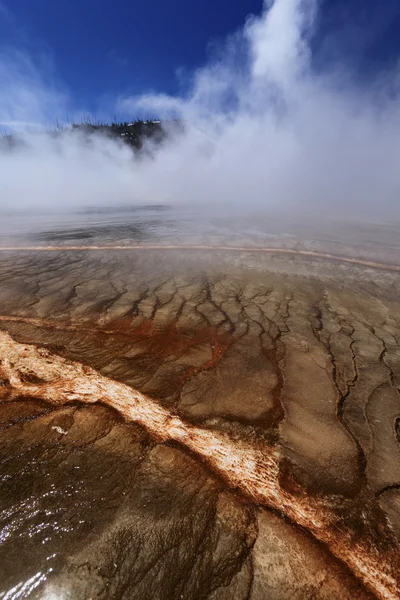 Tir à l'eau chaude de geyser — Photo
