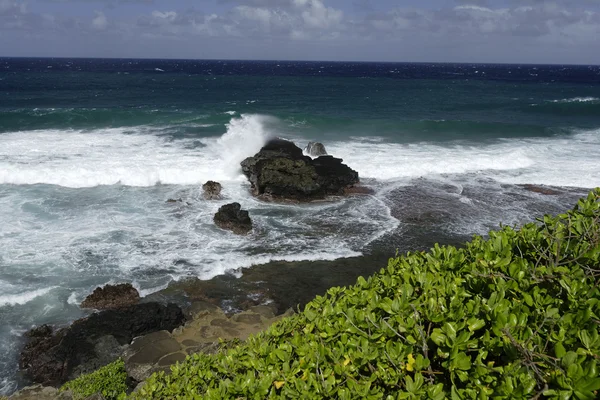 Playa en el ile aux cerfs —  Fotos de Stock