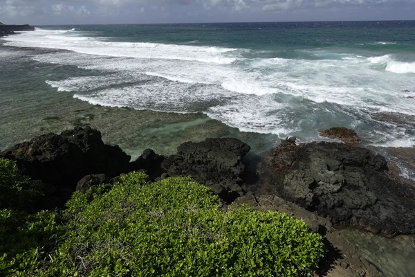 Playa en el ile aux cerfs —  Fotos de Stock