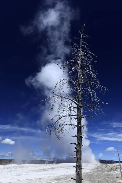Geyser à Yellowstone avec un ciel bleu profond — Photo