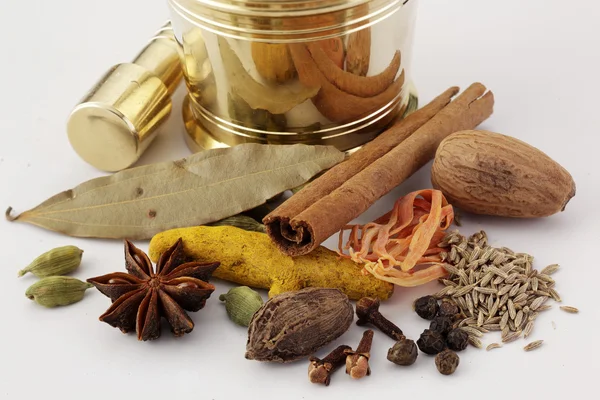 Various dried spices — Stock Photo, Image