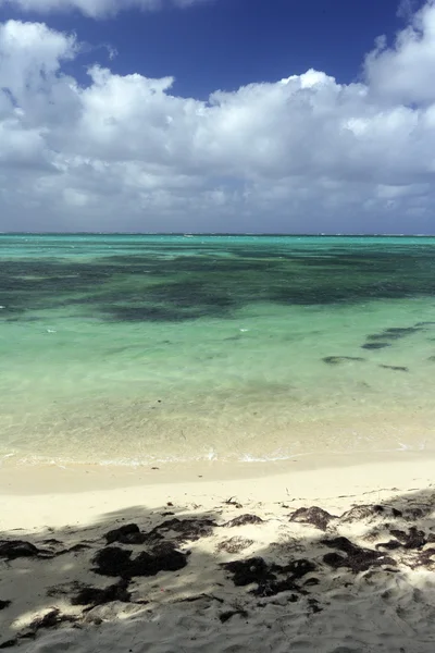 Beach at the ile aux cerfs — Stock Photo, Image