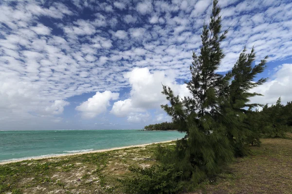 Playa en el ile aux cerfs —  Fotos de Stock