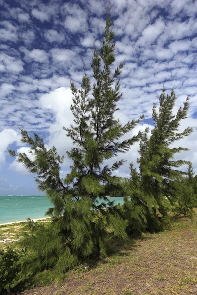 Beach at the ile aux cerfs — Stock Photo, Image