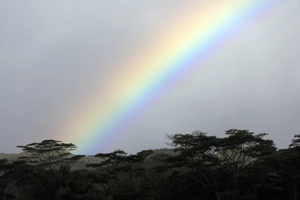 Regnbåge över Chamarel vattenfall, Mauritius — Stockfoto