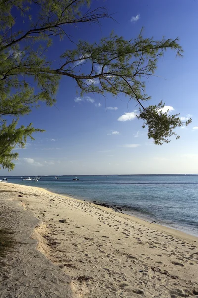 Beach at the ile aux cerfs — Stock Photo, Image