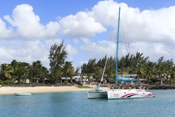 Ile aux kumsalda cerfs