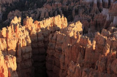 Güzel kaya oluşumları at Bryce Canyon