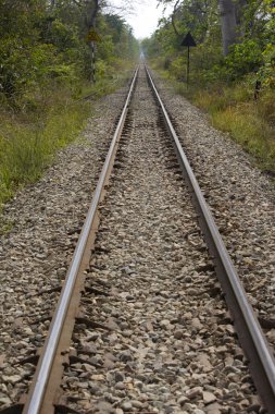 demiryolu parça yeşil orman.